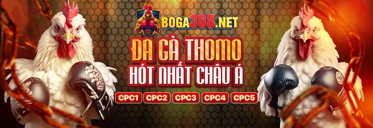 Giao diện cá cược đá gà trực tuyến ZM88