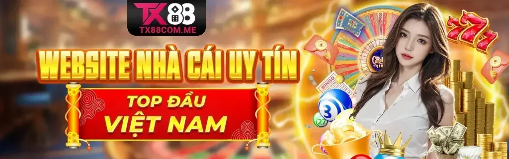 Người dùng đăng nhập ZM88 trên điện thoại di động